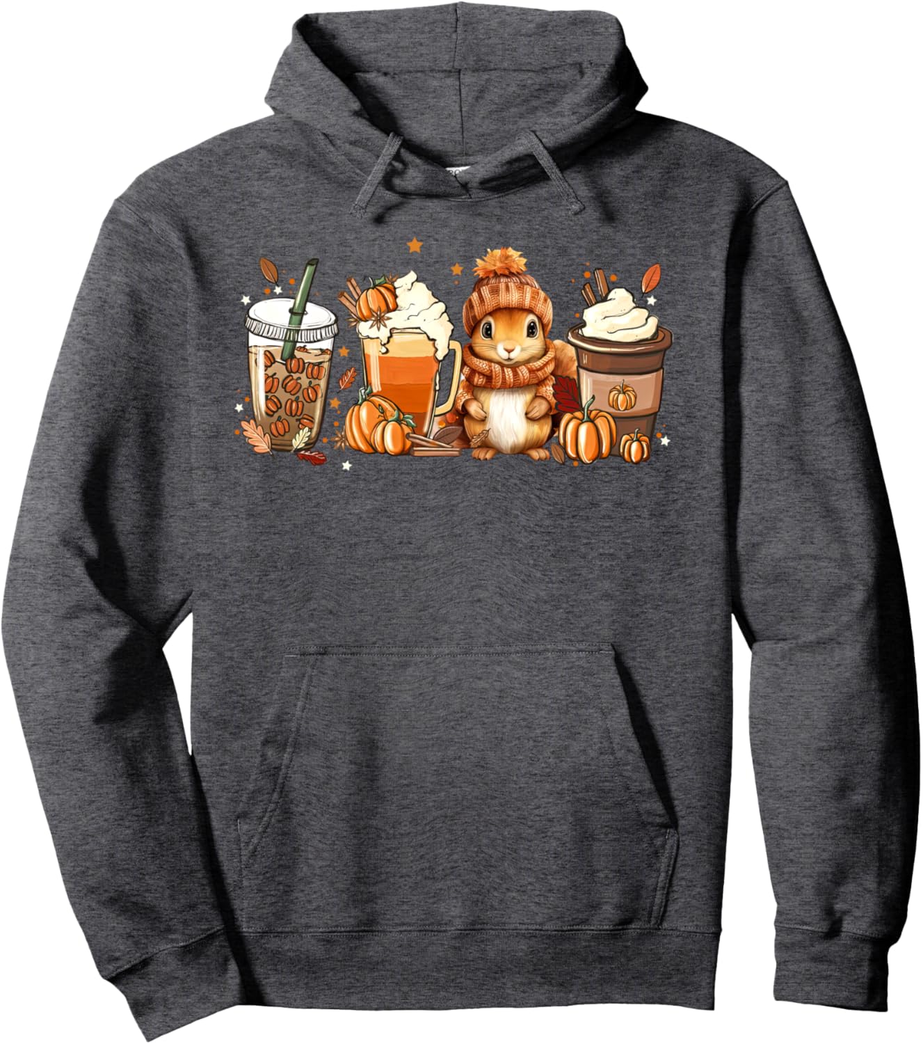 Cute Squirrel Pumpkin Spice Latte Fall Coffee Autumn Pullover Hoodie