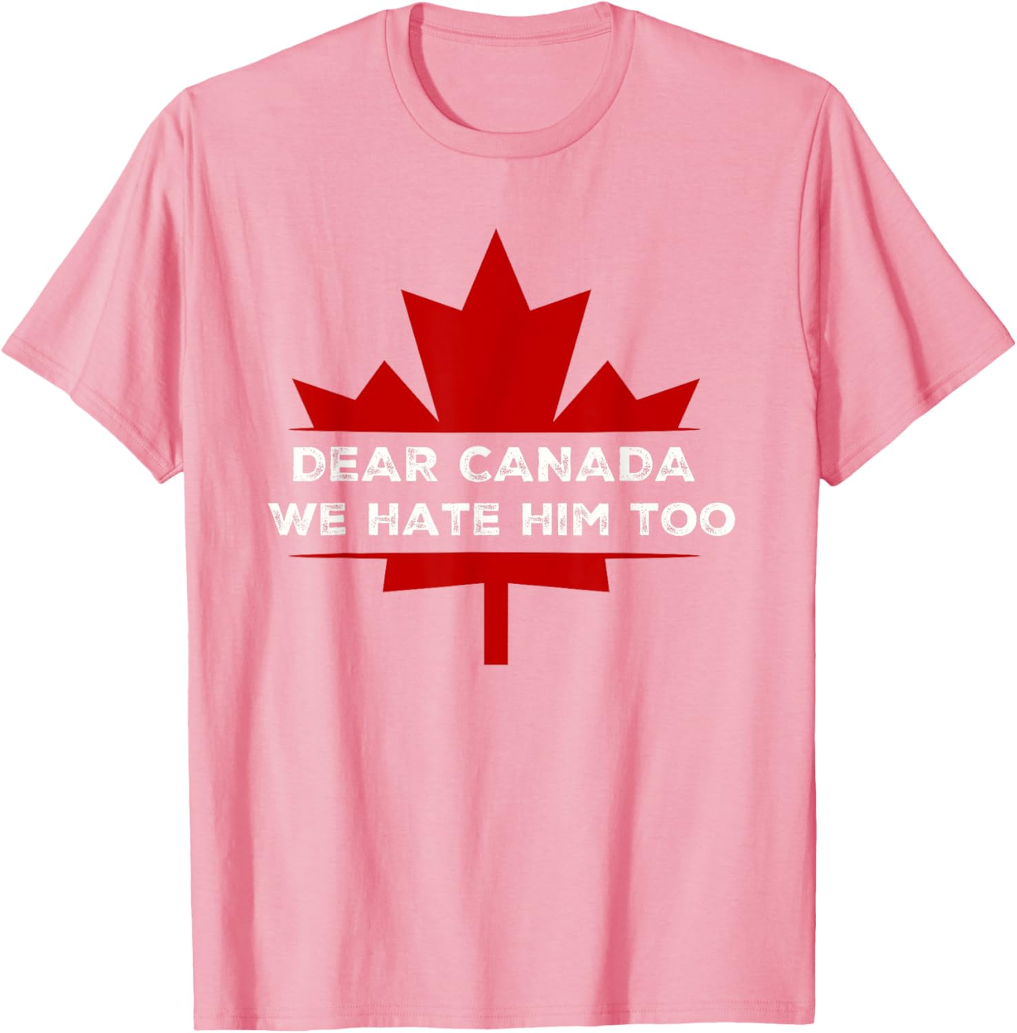 Dear Canada We Hate Him Too 2024 Election T-Shirt