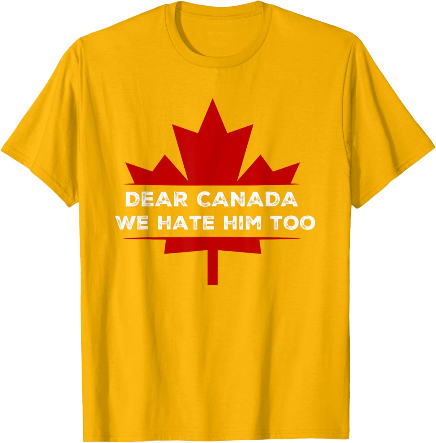 Dear Canada We Hate Him Too 2024 Election T-Shirt