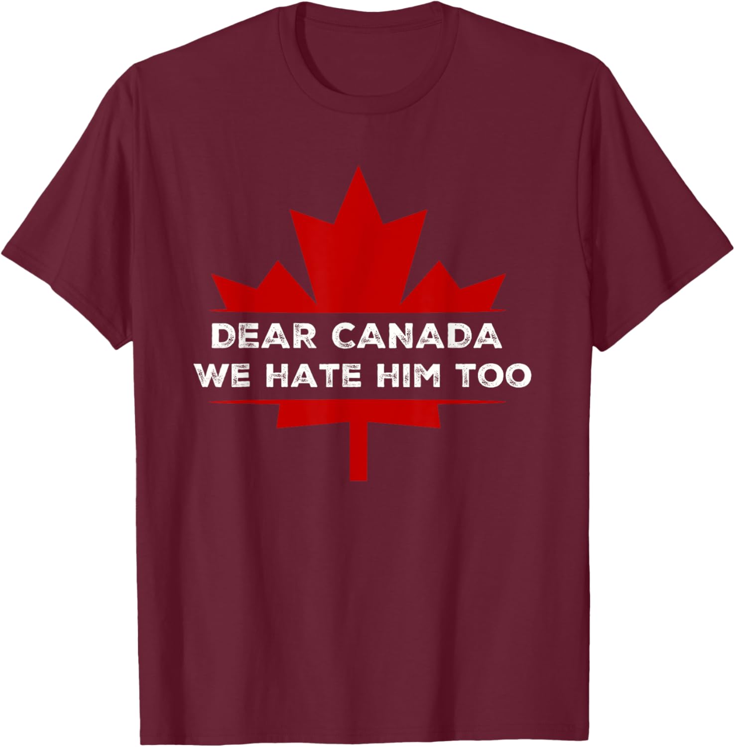 Dear Canada We Hate Him Too 2024 Election T-Shirt