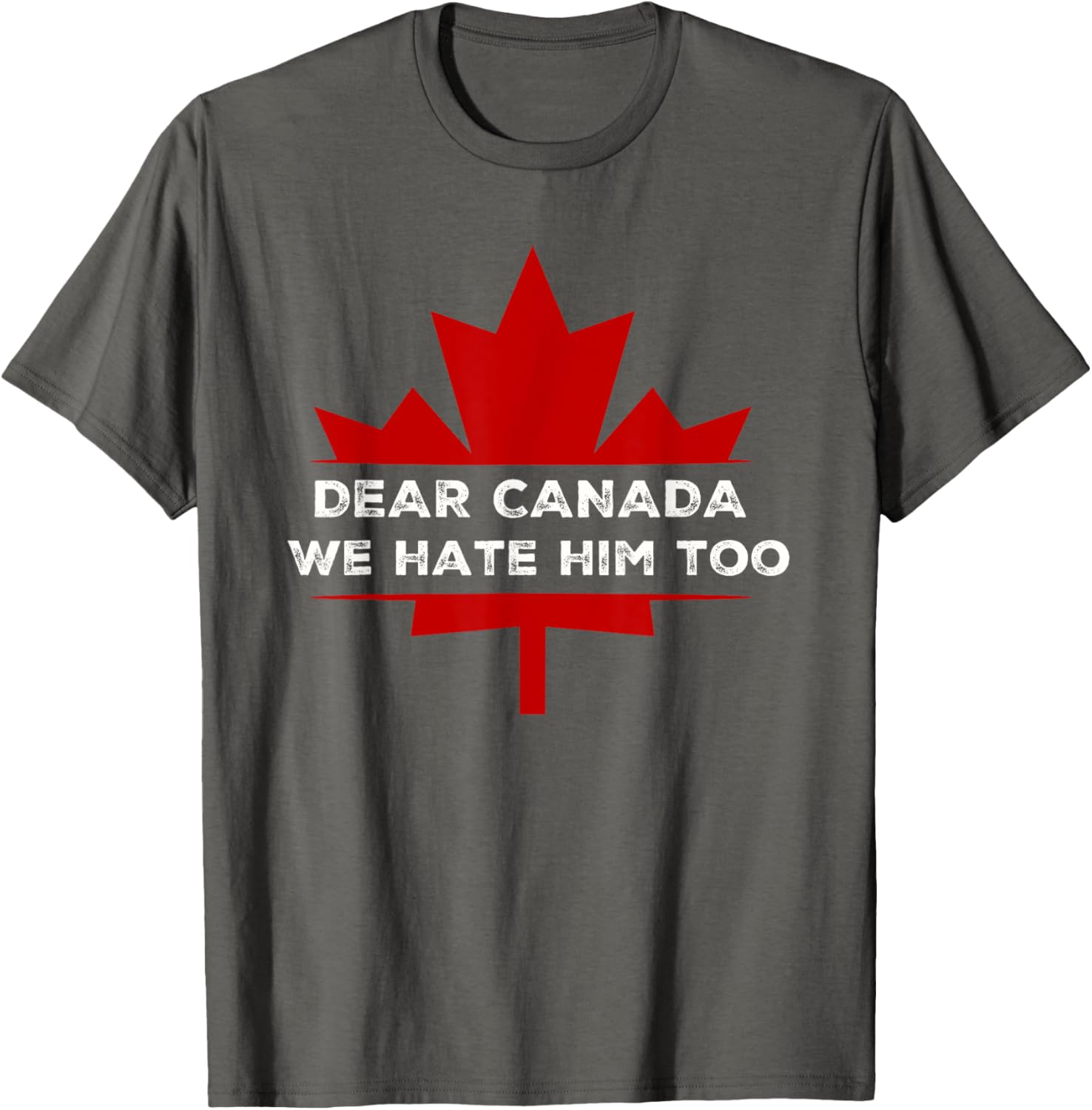 Dear Canada We Hate Him Too 2024 Election T-Shirt