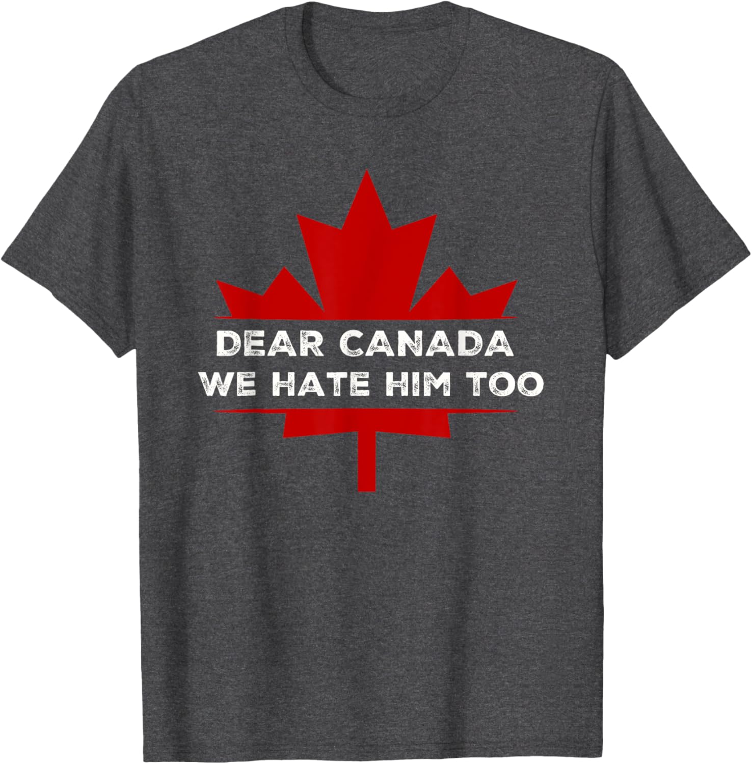 Dear Canada We Hate Him Too 2024 Election T-Shirt