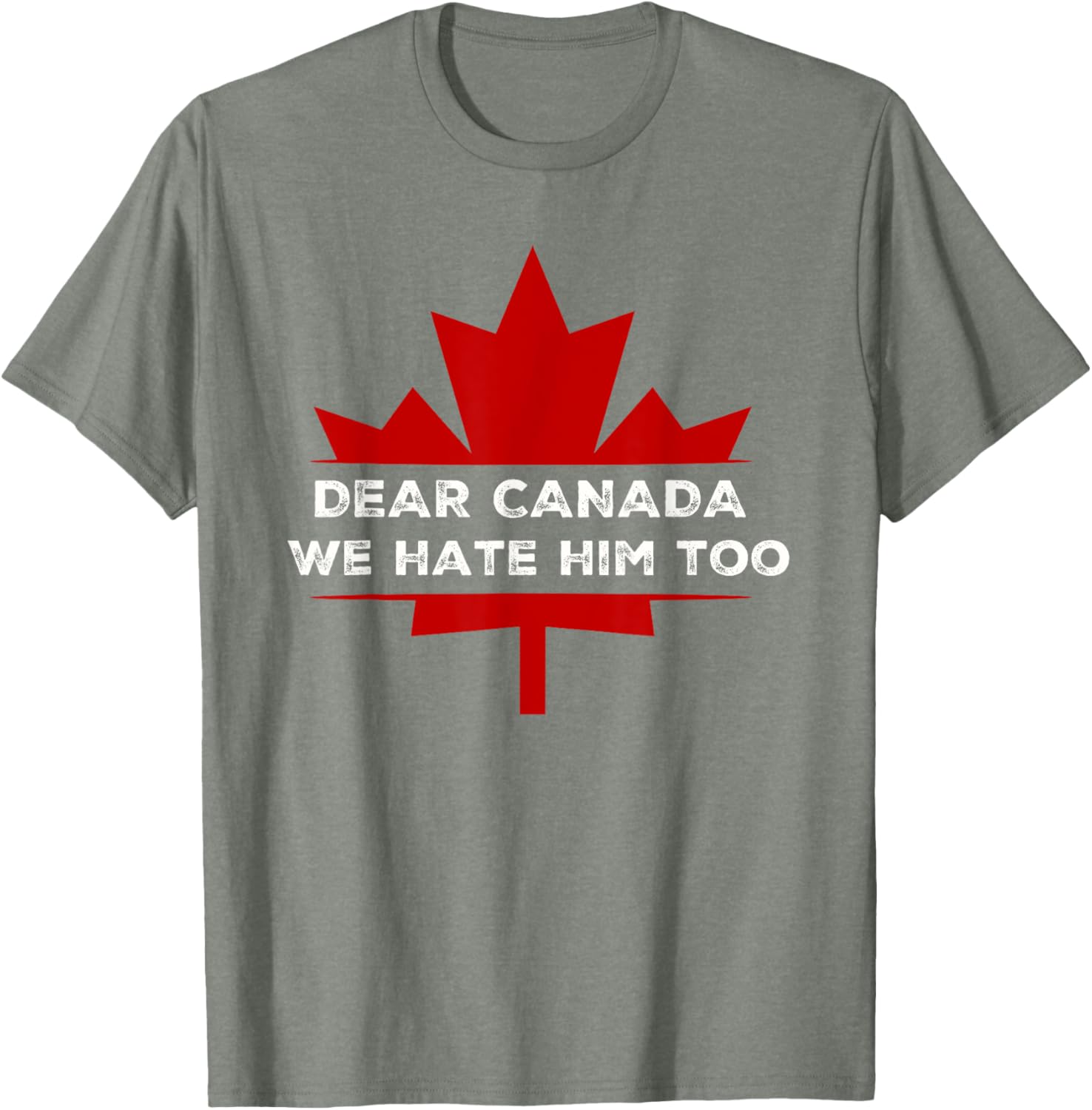Dear Canada We Hate Him Too 2024 Election T-Shirt