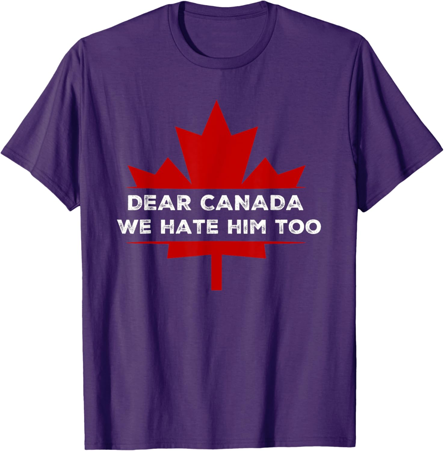 Dear Canada We Hate Him Too 2024 Election T-Shirt