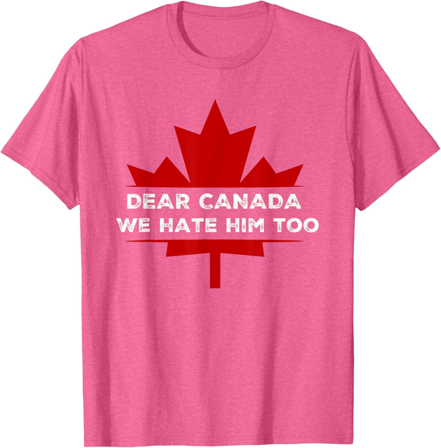 Dear Canada We Hate Him Too 2024 Election T-Shirt