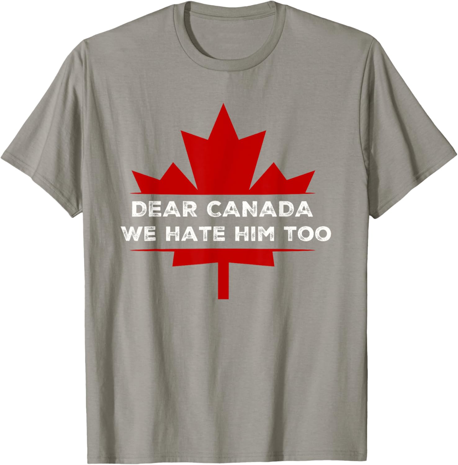 Dear Canada We Hate Him Too 2024 Election T-Shirt