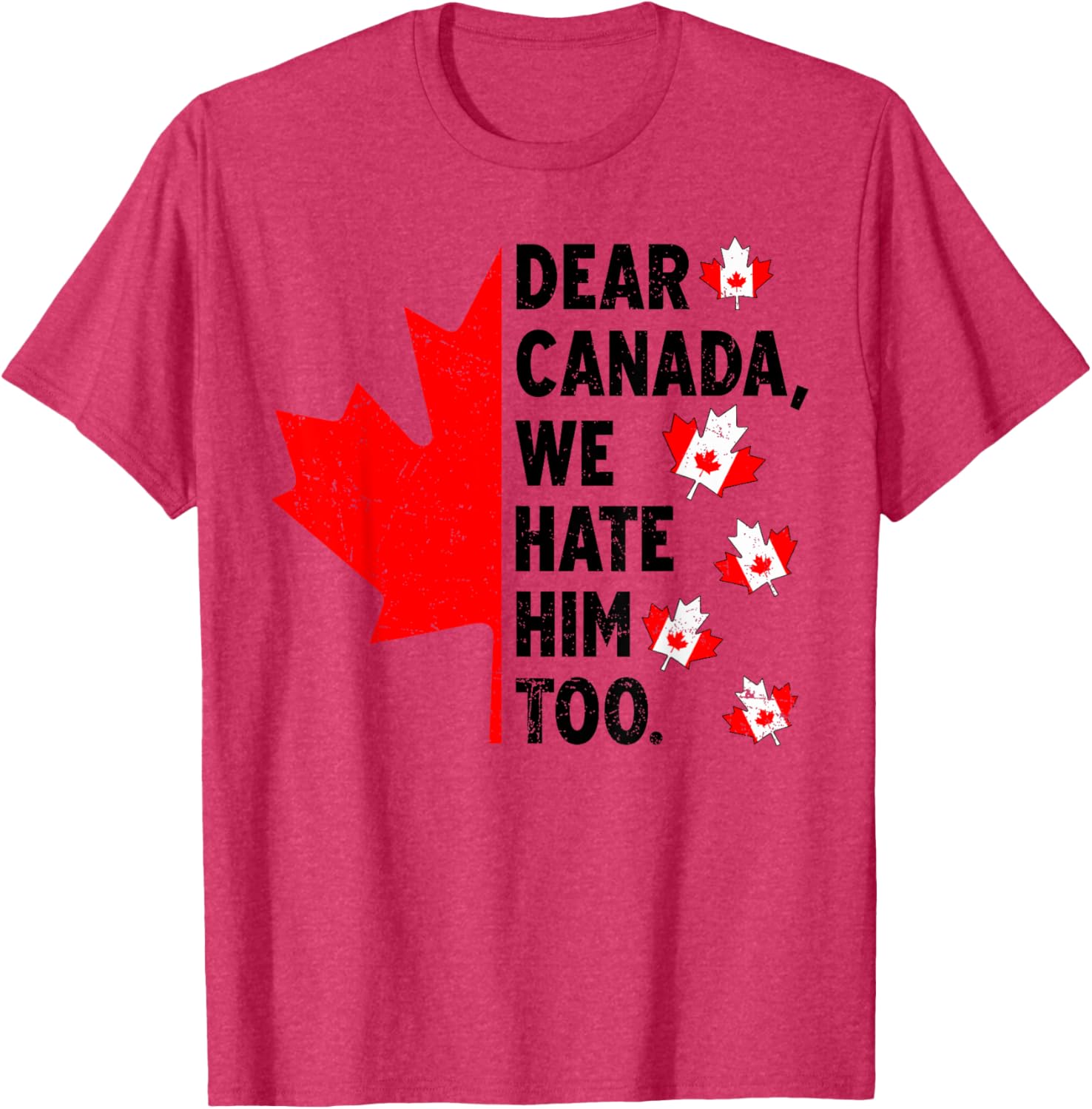 Dear Canada We Hate Him Too Anti Trump Political Protest T-Shirt