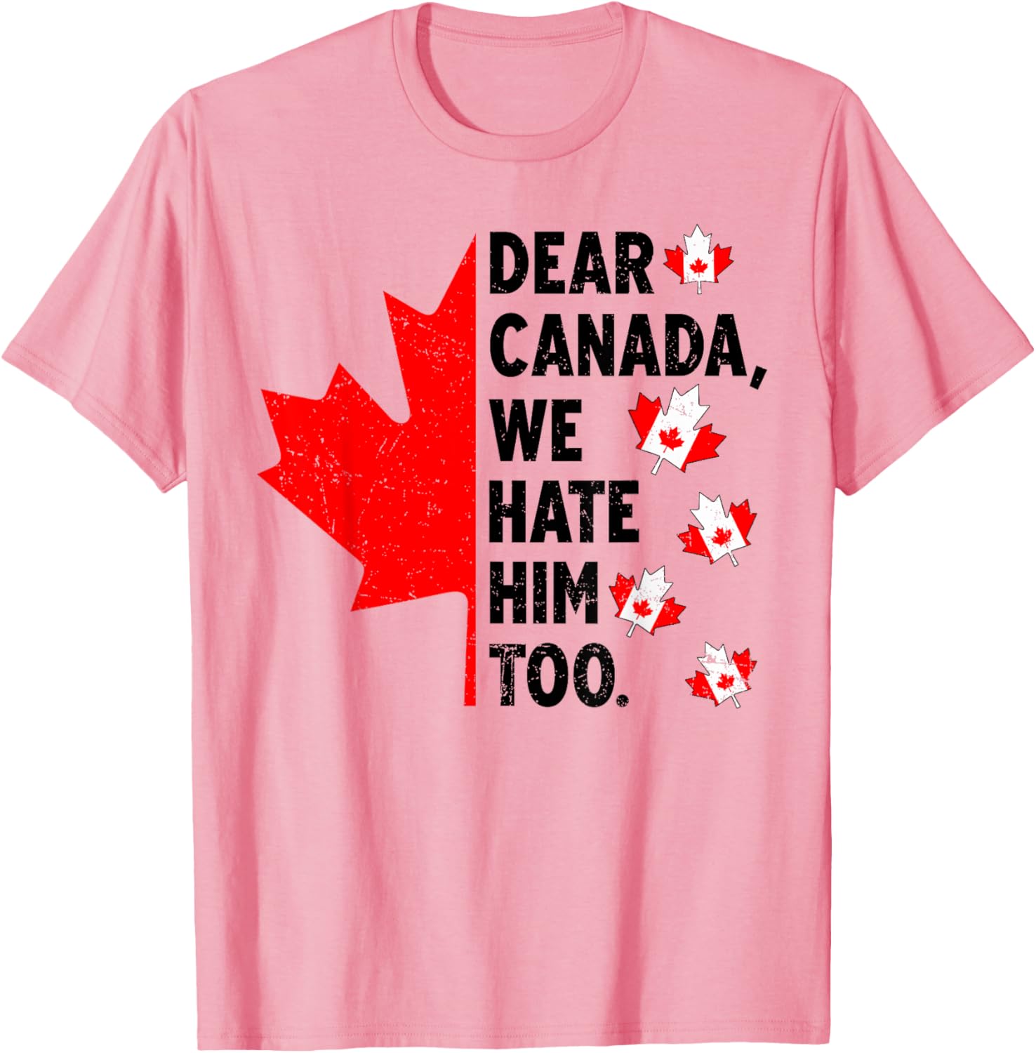 Dear Canada We Hate Him Too Anti Trump Political Protest T-Shirt