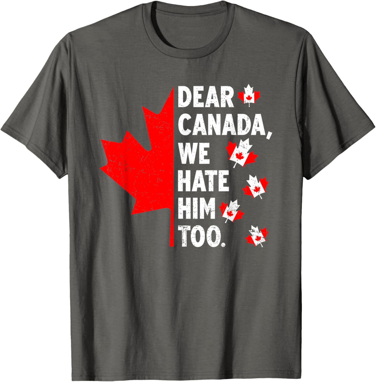 Dear Canada We Hate Him Too Political Protest T-Shirt