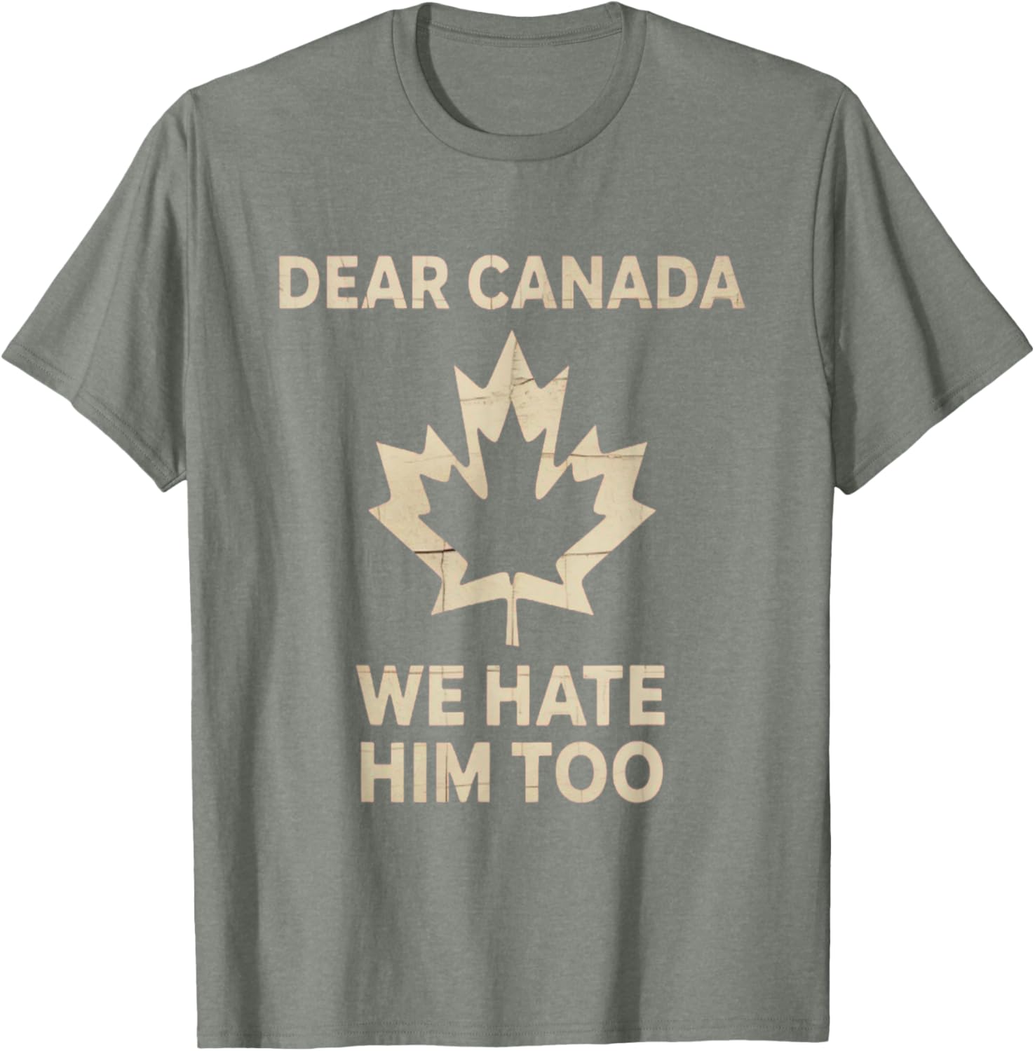 Dear Canada We Hate Him Too Political Protest - Tee T-Shirt