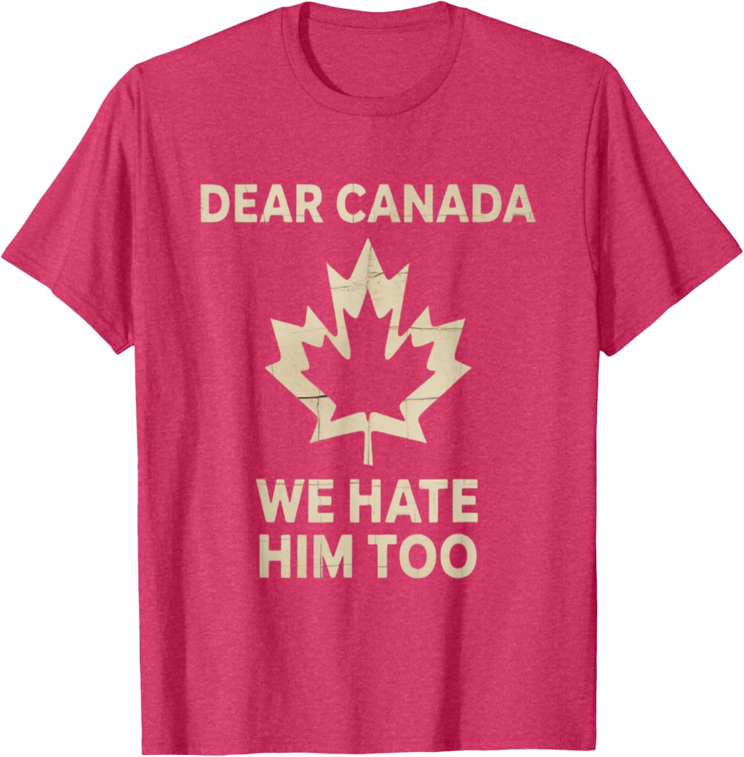 Dear Canada We Hate Him Too Political Protest - Tee T-Shirt