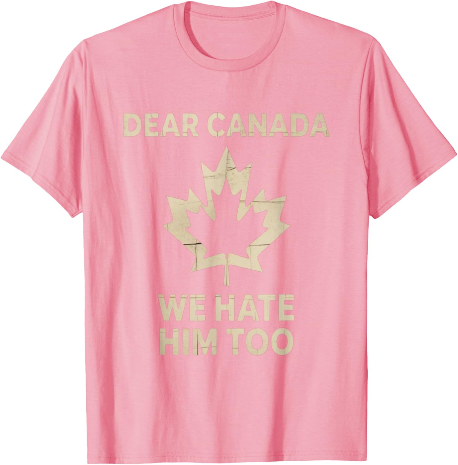 Dear Canada We Hate Him Too Political Protest - Tee T-Shirt
