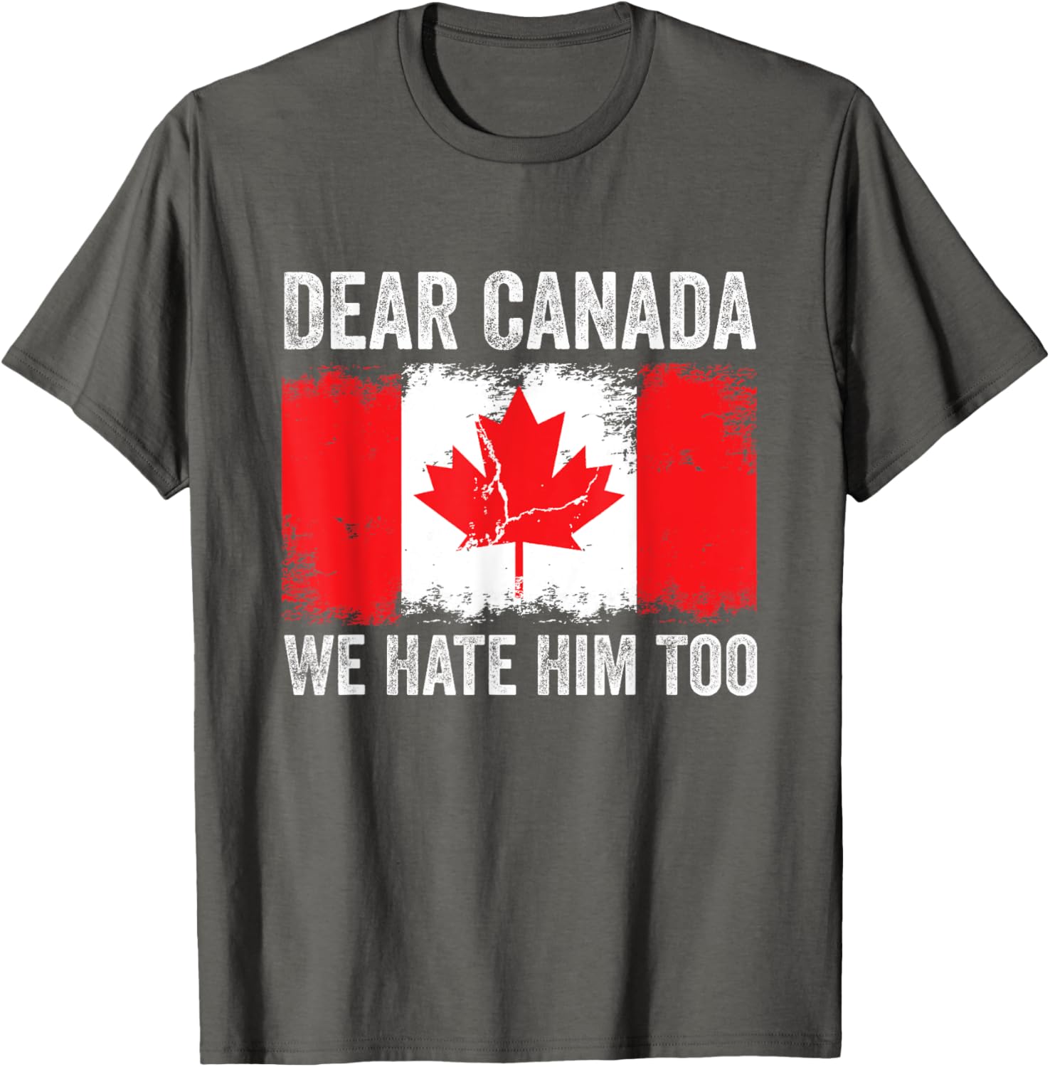 Dear Canada We Hate Him Too Political Protest Vintage T-Shirt