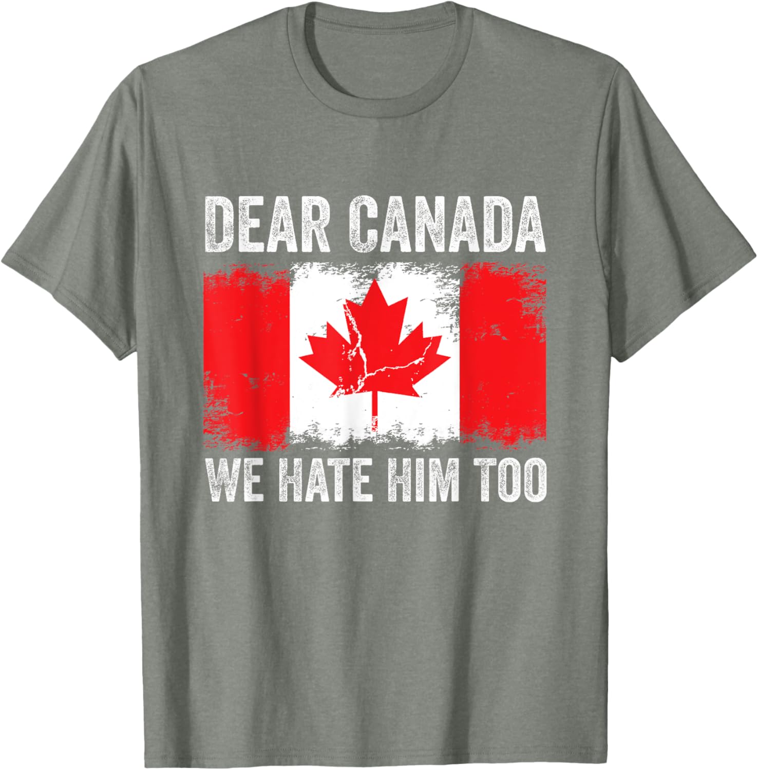Dear Canada We Hate Him Too Political Protest Vintage T-Shirt