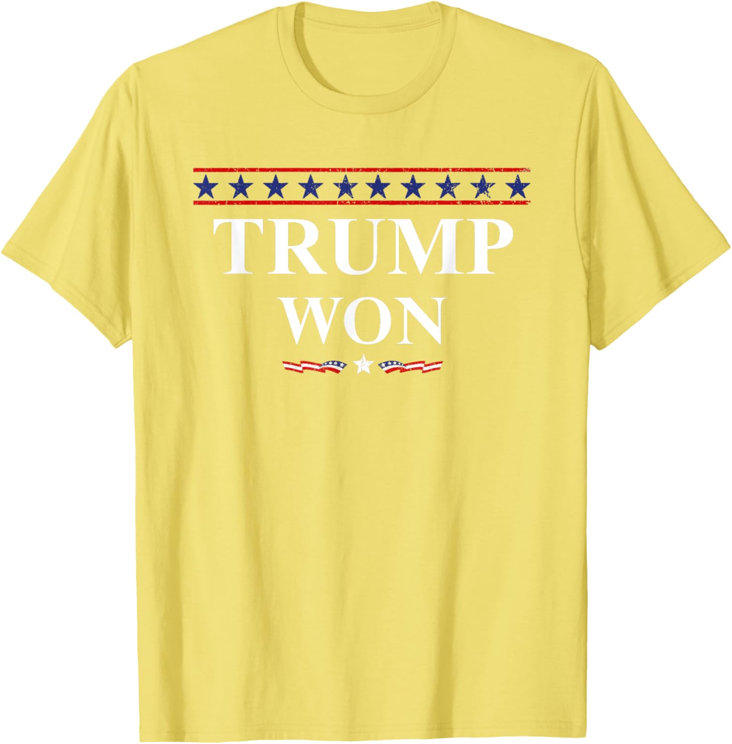 Donald Trump Won In The Election American Flag Trump 2024 T-Shirt