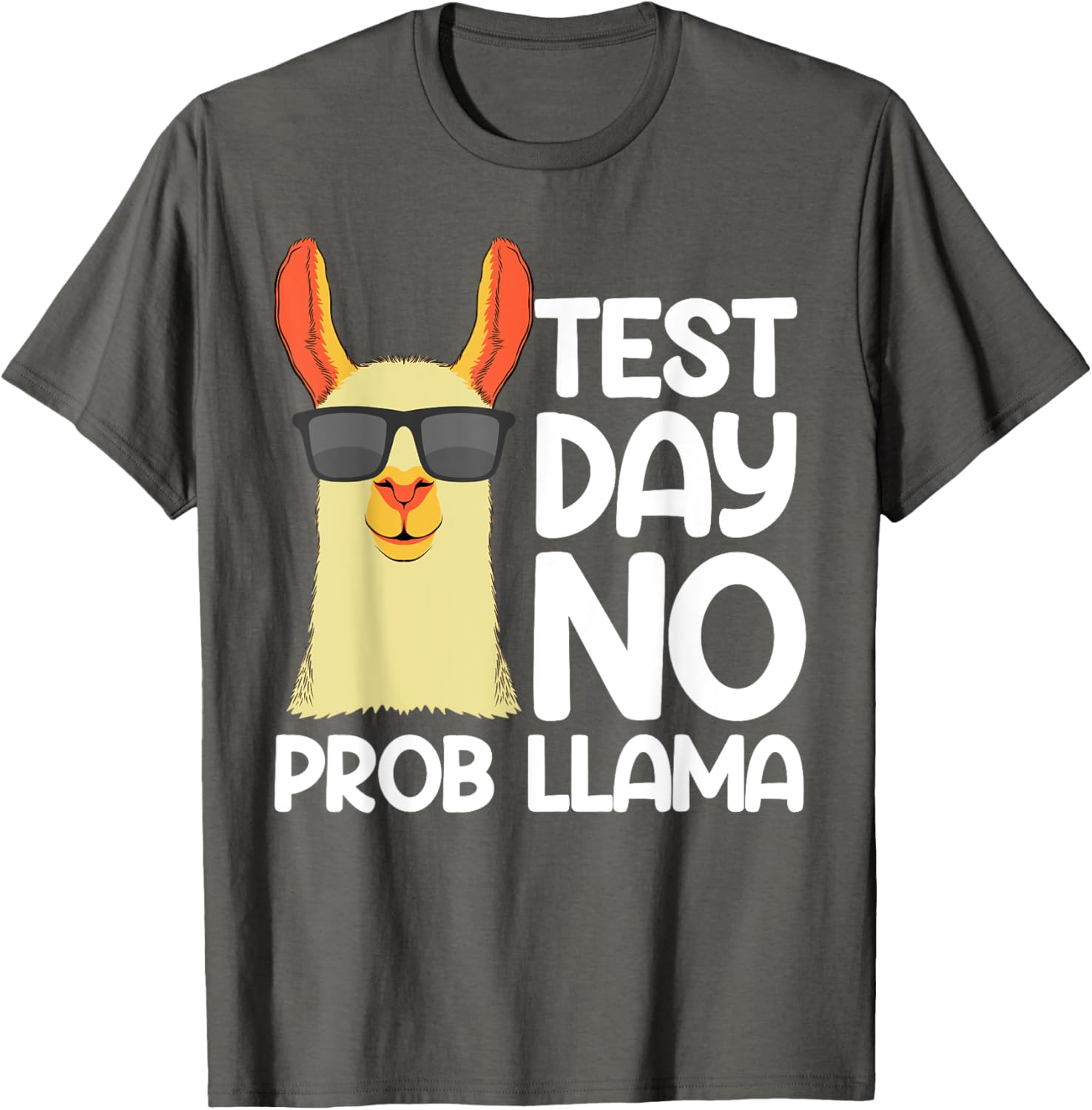 Funny Testing Day For Men Women School Testing Day Teacher T-Shirt