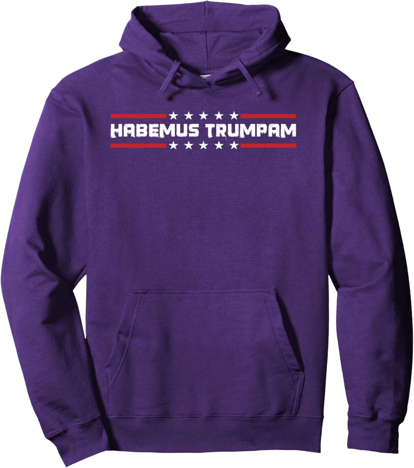 Habemus Trumpam Trump New President 2024 Funny Habemus Papam Pullover Hoodie