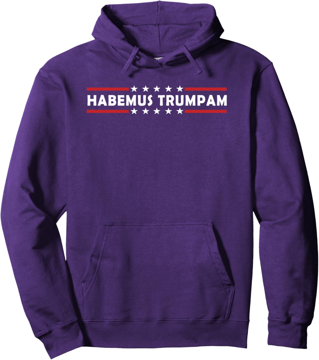 Habemus Trumpam Trump New President 2024 Funny Habemus Papam Pullover Hoodie