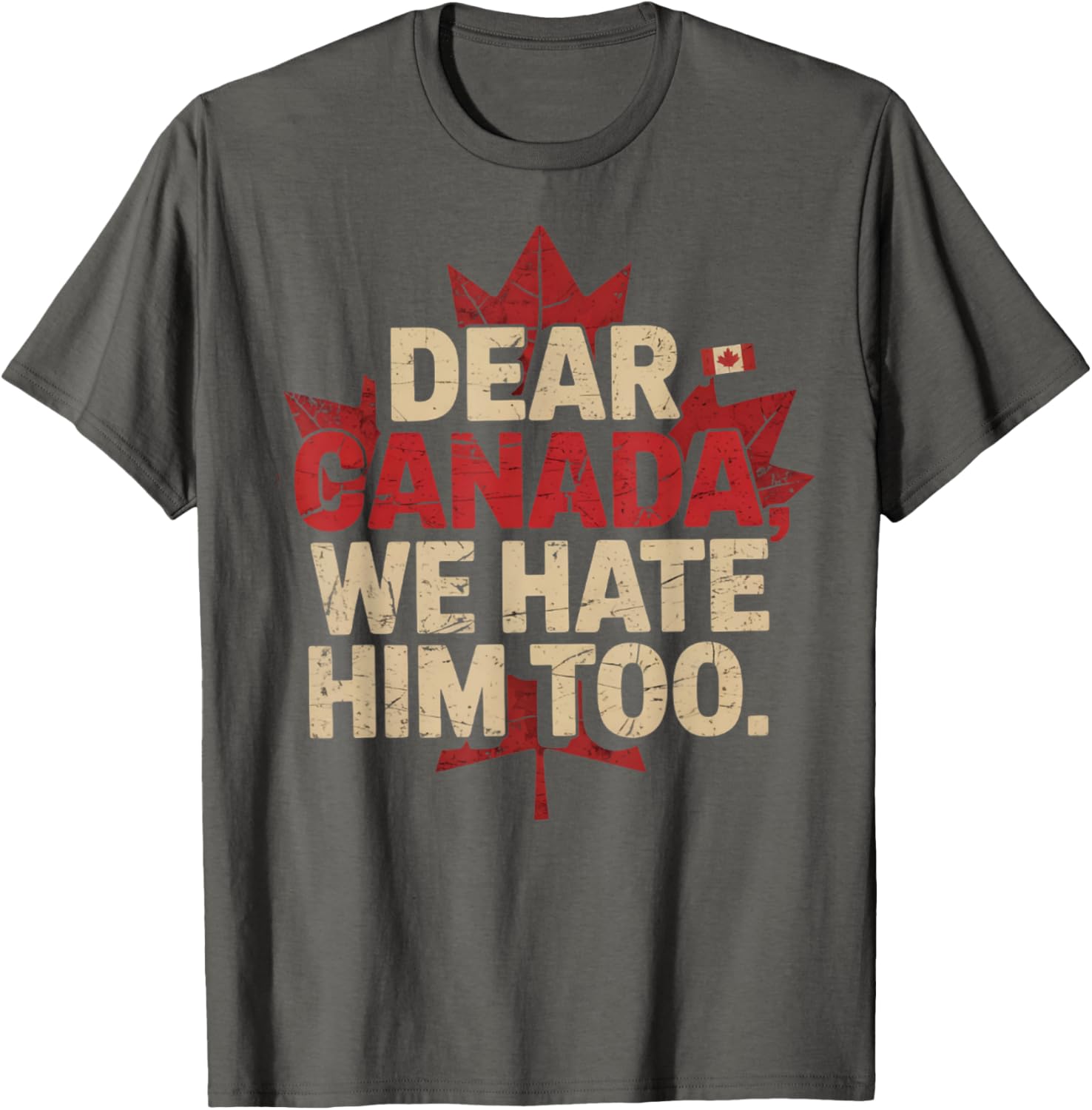 retro vintage Dear Canada We Hate Him Too Political Protest T-Shirt