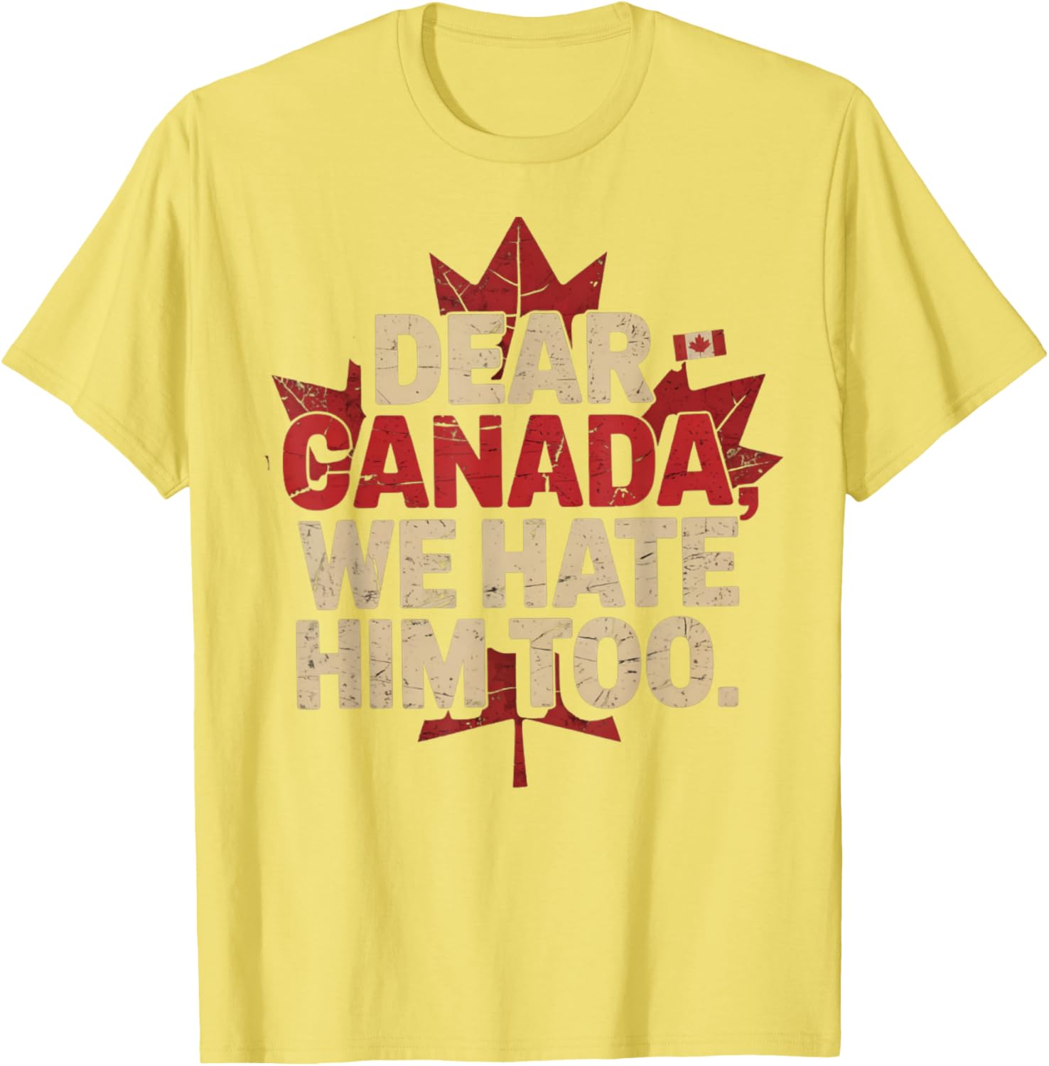 retro vintage Dear Canada We Hate Him Too Political Protest T-Shirt