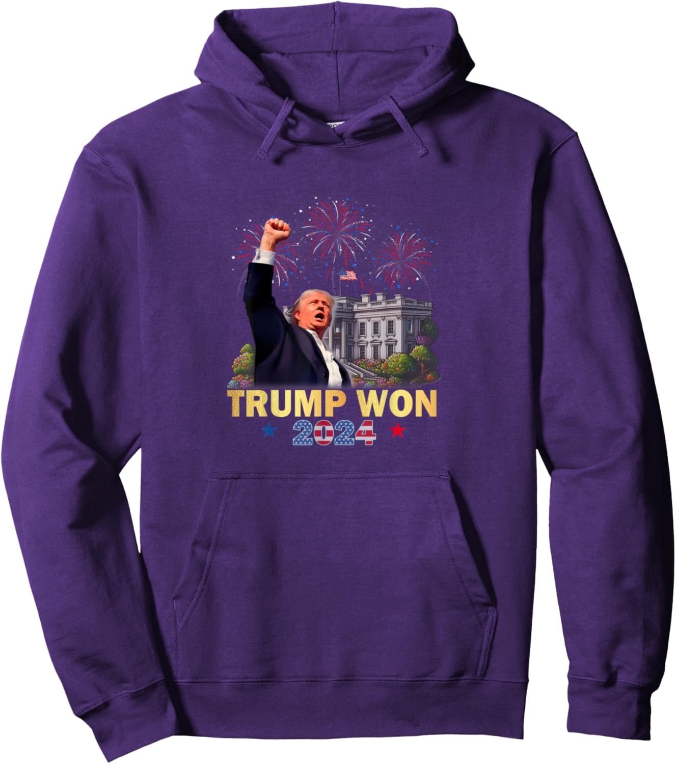 Trump Won 2024 President 47th Of White House Donald Trump Pullover Hoodie