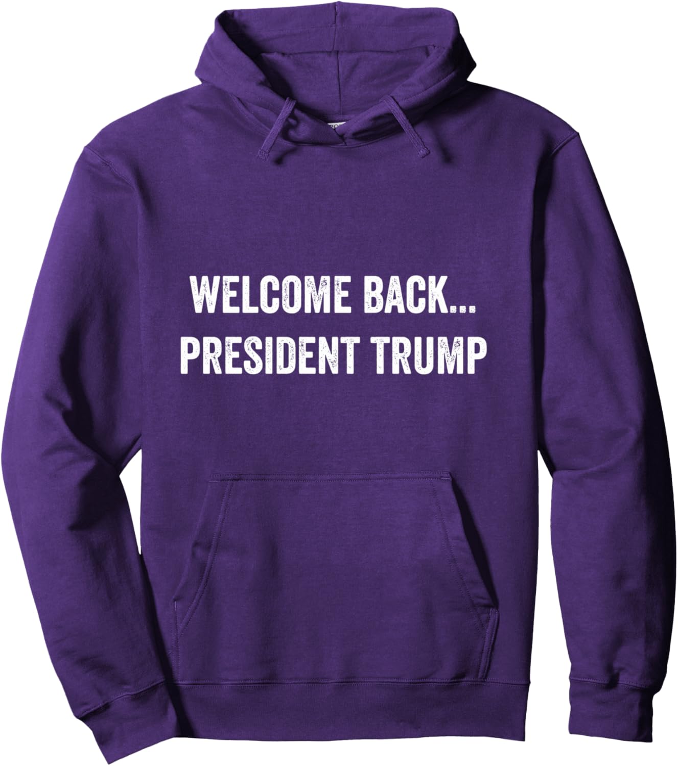 Welcome Back... President Trump US Election 2024 Republicans Pullover Hoodie